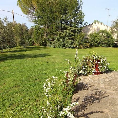 Karoubis Studio Kavallouri Exterior foto
